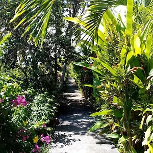  Hébergement de vacances Papaye